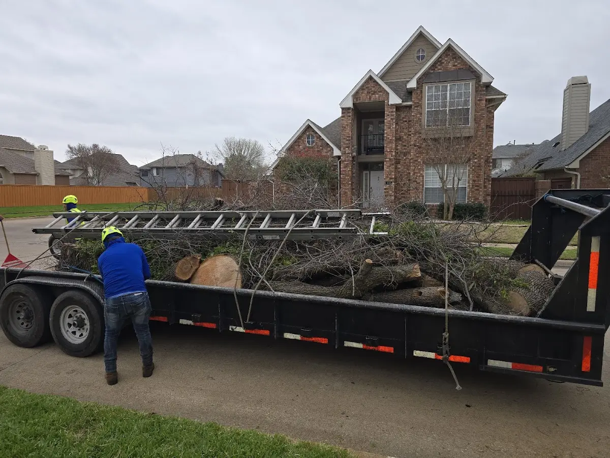 Expert Tree Pest Control with proper safety equipment in Wingate